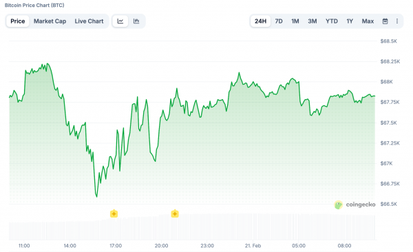 Биткоин: обзор за 20 февраля &mdash; что влияет на цену BTC сегодня