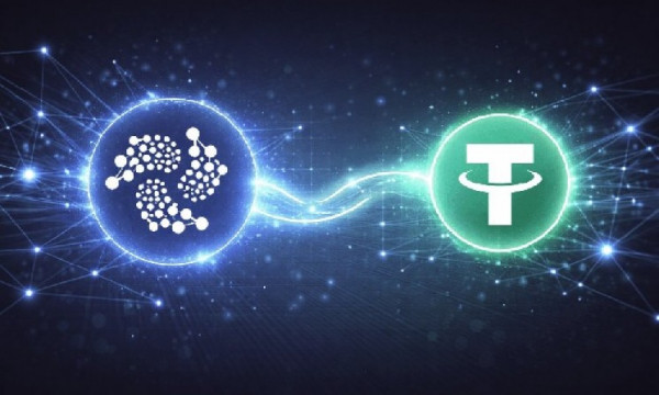 Почему IOTA Foundation делает большую ставку на интеграцию с USDT