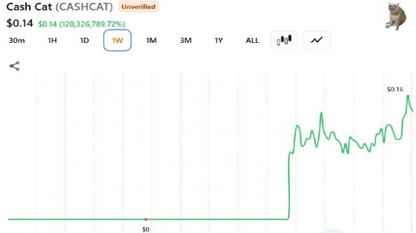Этот трейдер продал свой CASHCAT за 711 долларов вместо того, чтобы уйти на пенсию: вот расчёты