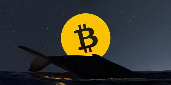 Крупный игрок на рынке биткоинов, который бездействовал 15 лет, начал перемещать свои BTC!
