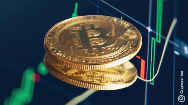 Bitcoin впал в крайнюю жадность, а тревожные сигналы накапливаются