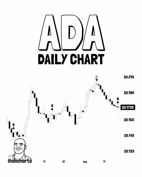 Али Мартинес дождался уровня Cardano, указывающего на откат вверх