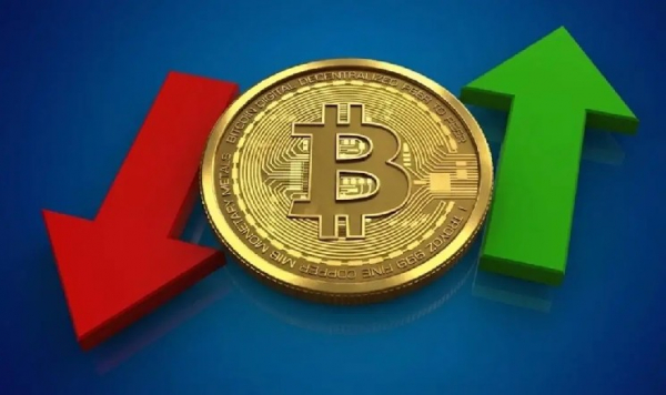 Наконец-то биткоин и альткоины взлетят? Мелкие кошельки разорены, крупные киты накапливают средства!