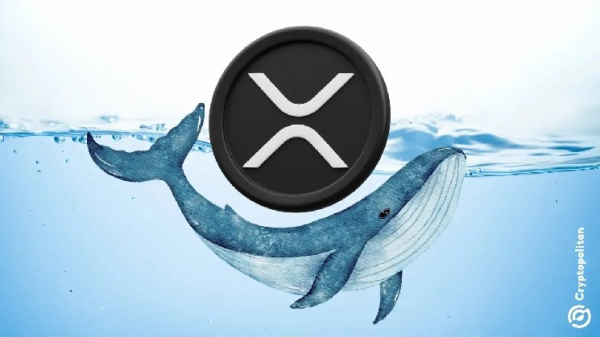 Крупные держатели XRP продолжают наращивать свои позиции, несмотря на ценовые трудности в 2026 году