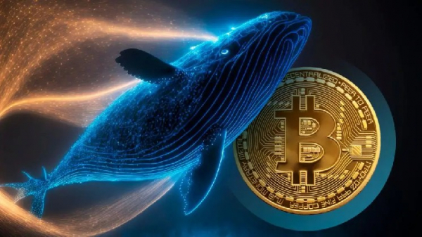 CryptoQuant: Крупные инвесторы покупают Bitcoin, Ethereum и XRP, медвежий рынок, возможно, приближается к своей финальной стадии!