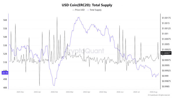 За два месяца капитализация USDT сократилась на $4 млрд