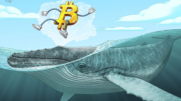 600 BTC, добытых в 2010 году, изменились после 16 лет бездействия