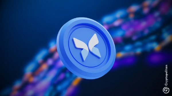 Компания Morpho вдвое сократила отрыв Aaveот конкурентов по объему кредитования, а объем непогашенных кредитов достиг рекордной отметки в 5 миллиардов долларов